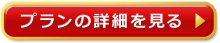 プランの詳細を見る