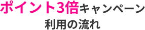 ポイント3倍キャンペーン利用の流れ