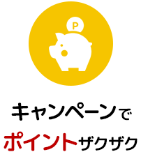 キャンペーンで ポイントザクザク
