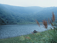 ir