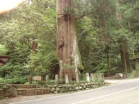 ̑吙