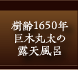 樹齢1650年の巨木丸太の露天風呂