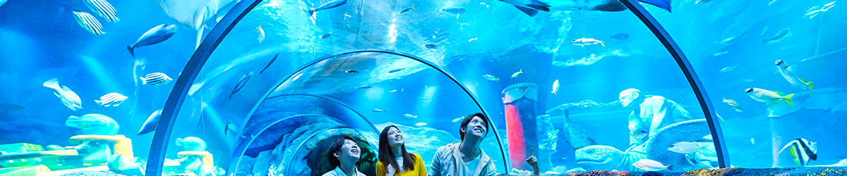 LEGOLAND® Japan（レゴランド・ジャパン）